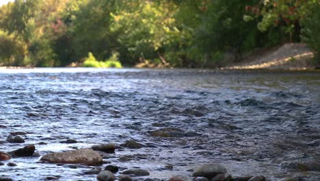 a river flowing through the forest on the boise idaho green belt low angle slow motion 20 second video.
