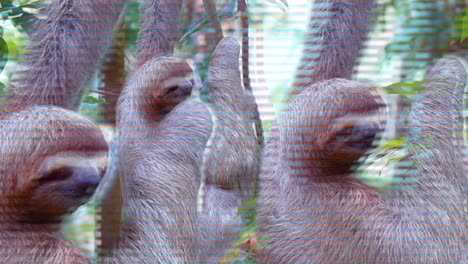 trippy sloths grinching, sloth glitch, smiling sloth, jungle of costa rica, three sloths in a three, 420 visual, trippy colors, glitching