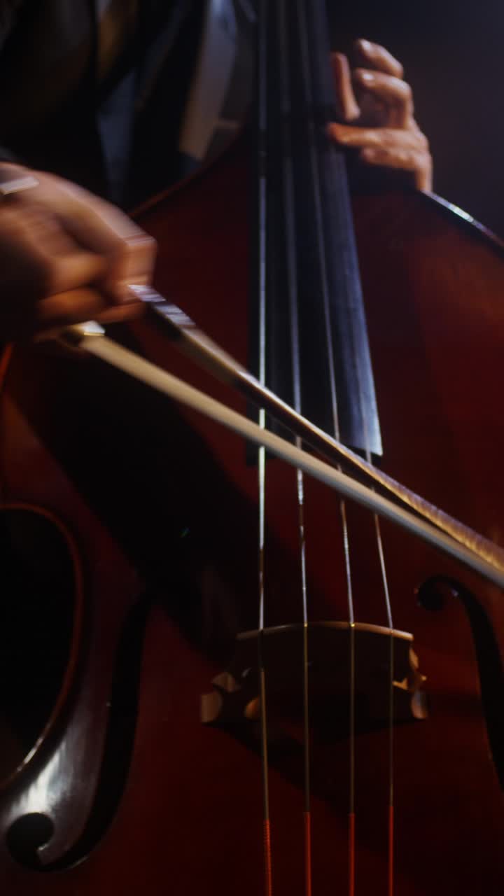 Double Bass Performance