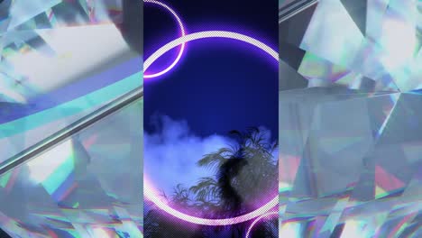 Animation-Von-Neonkreisen-Und-Pflanzen-über-Kristallen-Auf-Schwarzem-Hintergrund