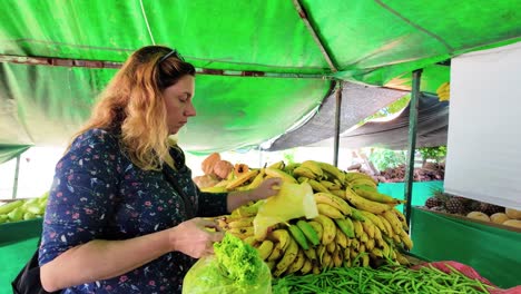 woman shopping for bananas and plantains at a farmer market stall. autumn farm