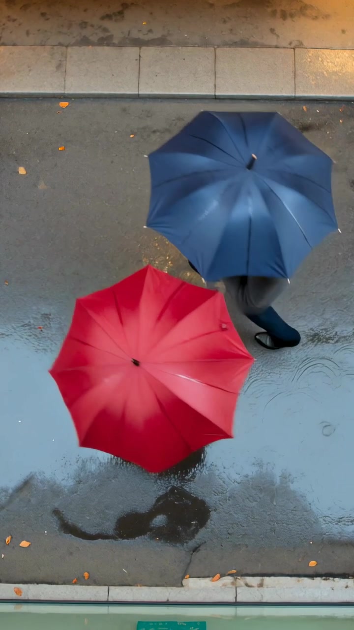 Video verticale: Piedi che entrano, due persone che attraversano il marciapiede con ombrelli rossi e blu, impermeabili chiari e scuri.