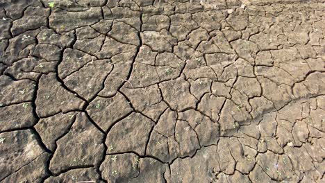 closeup of parched clay soil terrain, panning shot on sunny day, drought concept