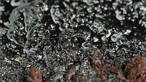 wet soil with oil/water