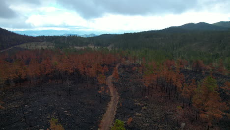 Ojo-De-Pájaro-Aéreo-Disparado-Sobre-El-Camino-En-El-Bosque-De-Montaña-Quemado