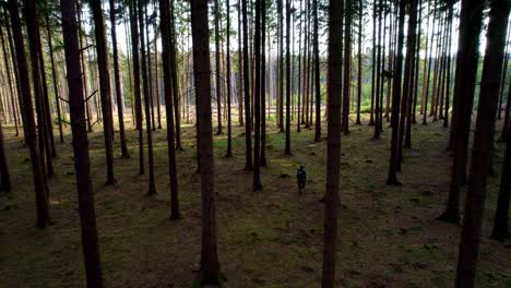 Man-with-a-backpack-walks-through-the-woods-with-the-rays-of-the-spring-sun-passing-through-at-sunset