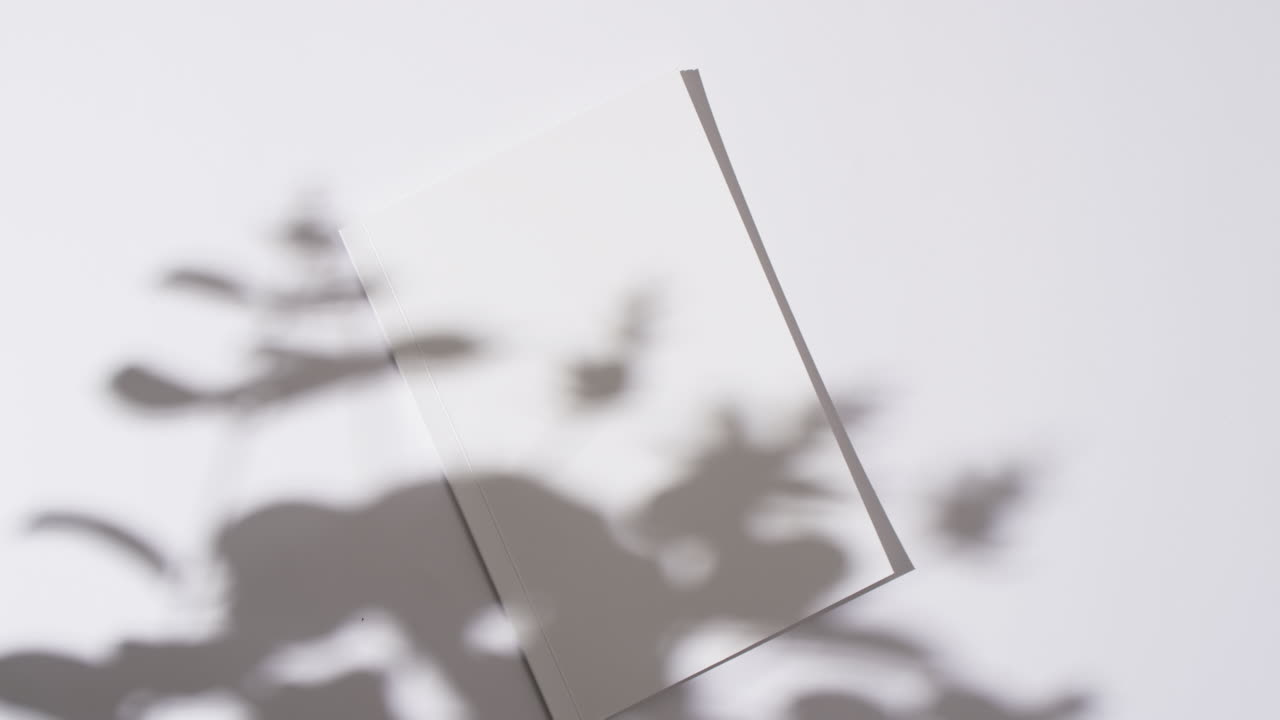 색 배경에 빈  페이지와 복사 공간을 가진 책 위에 식물의 그림자의 비디오