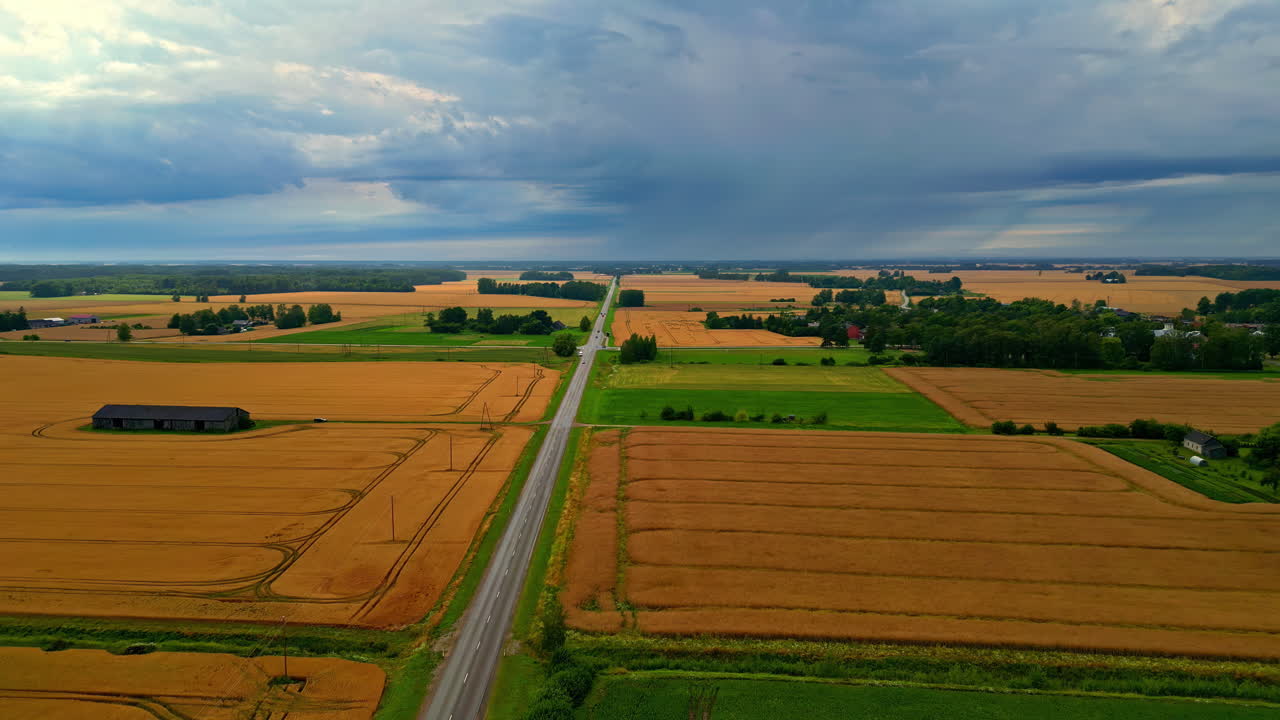 농업 밀 곡물 식물 노란, 작물 재배 농장 땅, 공중