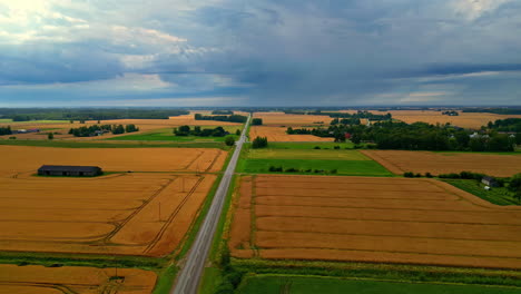 agriculture wheat cereal plant yellow field, crop cultivated farm land, aerial