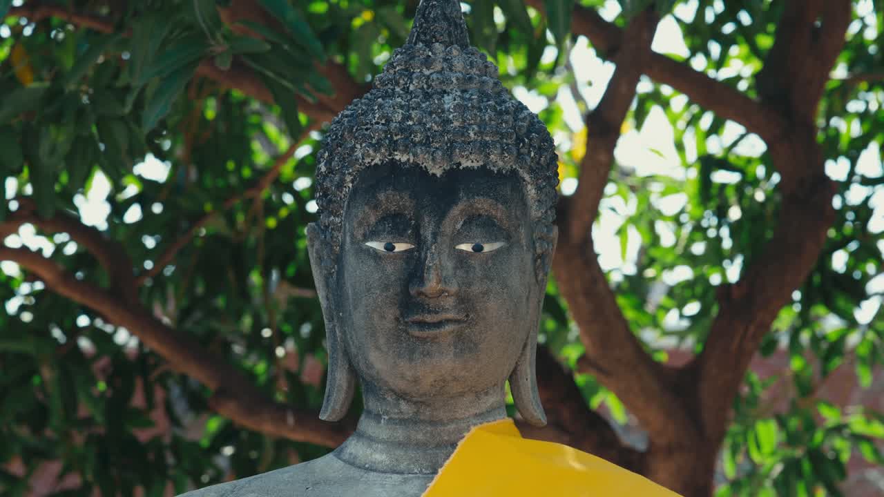 Video 4K cinematografico: primo piano di una testa di Buddha