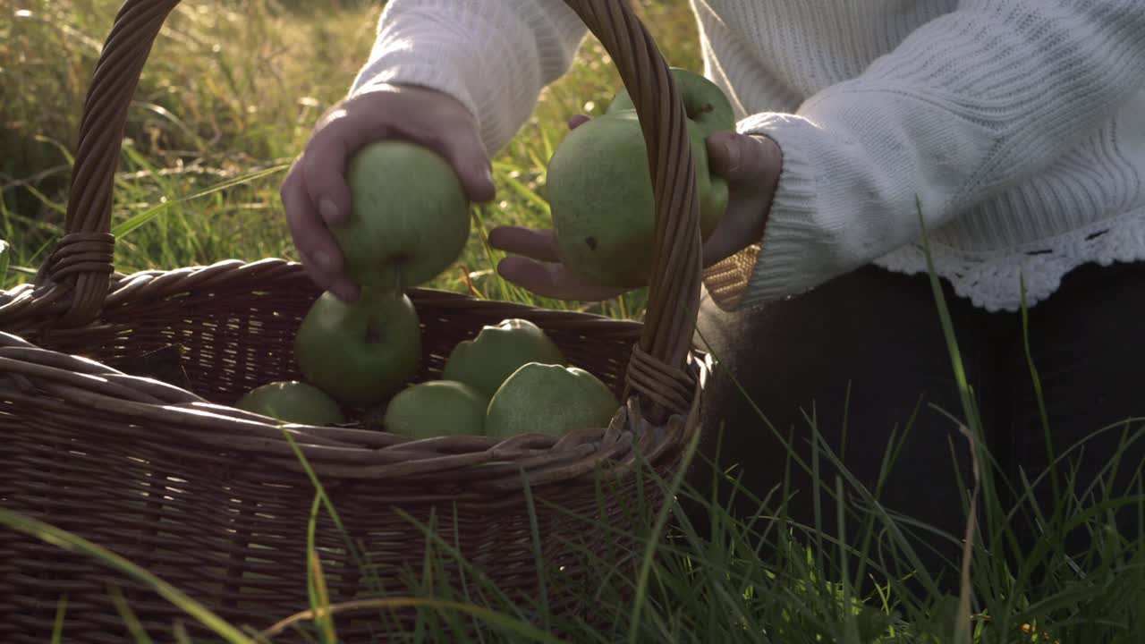 바구니에 사과를 가져오는 여자 미디엄 샷