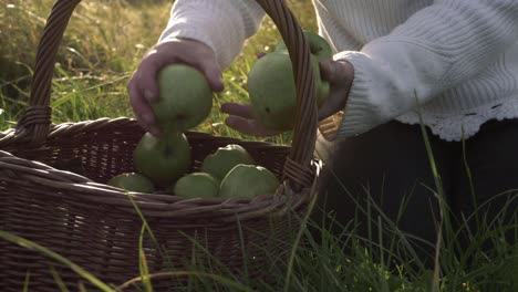 Frau-Holt-Äpfel-Aus-Einem-Korb,-Mittlere-Aufnahme