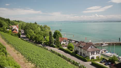 Üppige-Weinberge,-Die-Unter-Einem-Klaren-Blauen-Himmel-Zu-Einer-Malerischen-Stadt-Am-Ruhigen-Bodensee-Abfallen