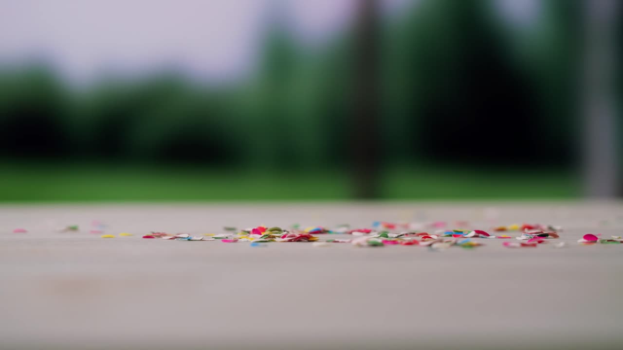 Close-up of Vacuum Cleaner Head Removing Colorful Confetti