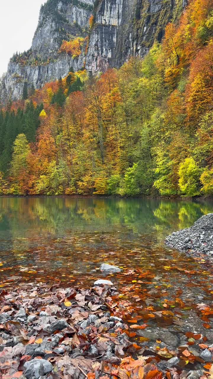 İsviçre Alp Vadisi'nde sonbahar ormanı dış mekan manzarası, manzaralı orman gölü yansıması