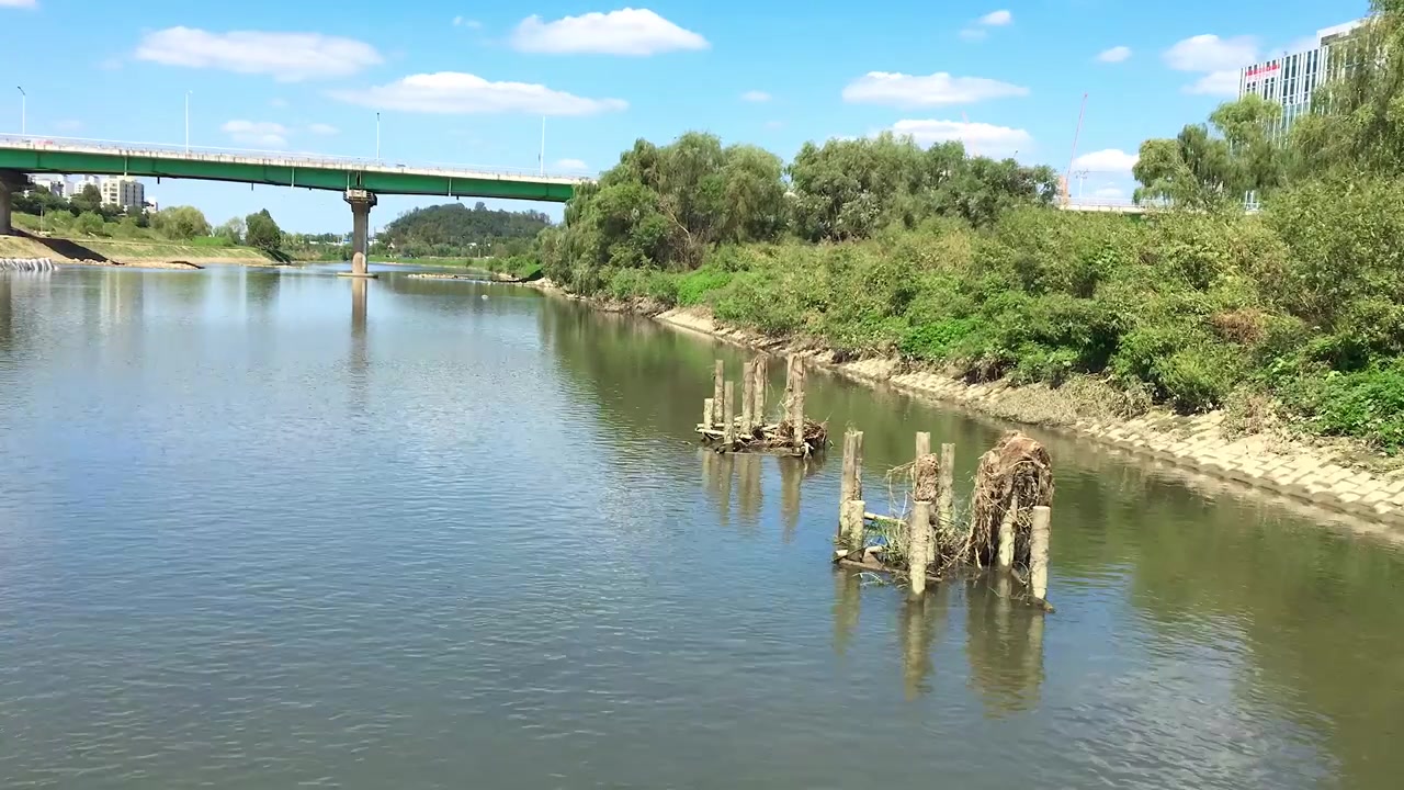 Un torrente, l'Anyangcheon, sfocia nel fiume Han con auto che passano sul ponte Yangpyeong