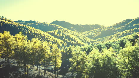 Blick-Auf-Den-Herbstwald-In-Den-Bergen-Und-Den-Blauen-Himmel-Der-Schweiz