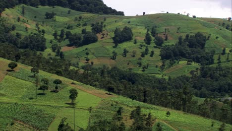 Aerial-view-of-the-lush,-rolling-hills-of-Guatemala’s-highlands,-showcasing-vibrant-greenery-and-agricultural-patches-from-a-helicopter-perspective