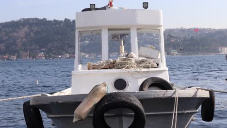 Fischerboot-Im-Bosporus,-Festgemacht-Am-Pier-Mit-Möwen-Und-Kormoranvögeln,-Die-Auf-Dem-Wasser-Im-Hintergrund-In-Istanbul,-Türkei,-Schwimmen