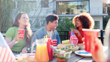 friends having a 4th of july party