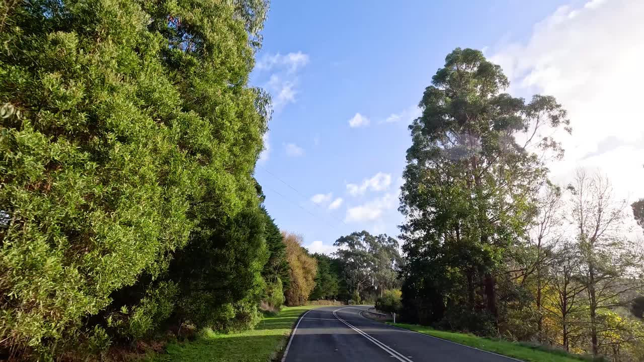 울창 한 초록색 을 가로질러 그림 같은 드라이브