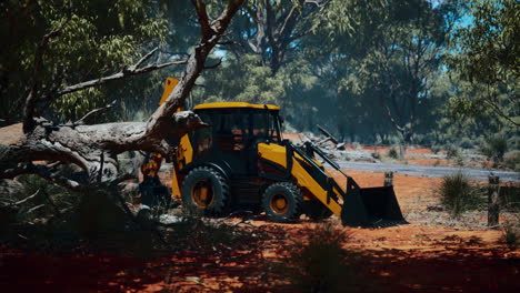 excavator tractor in bush forest