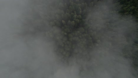 top down zoom out aerial of misty forest in bosnia