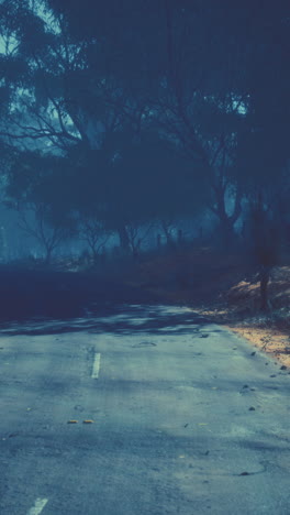foggy road in a forest