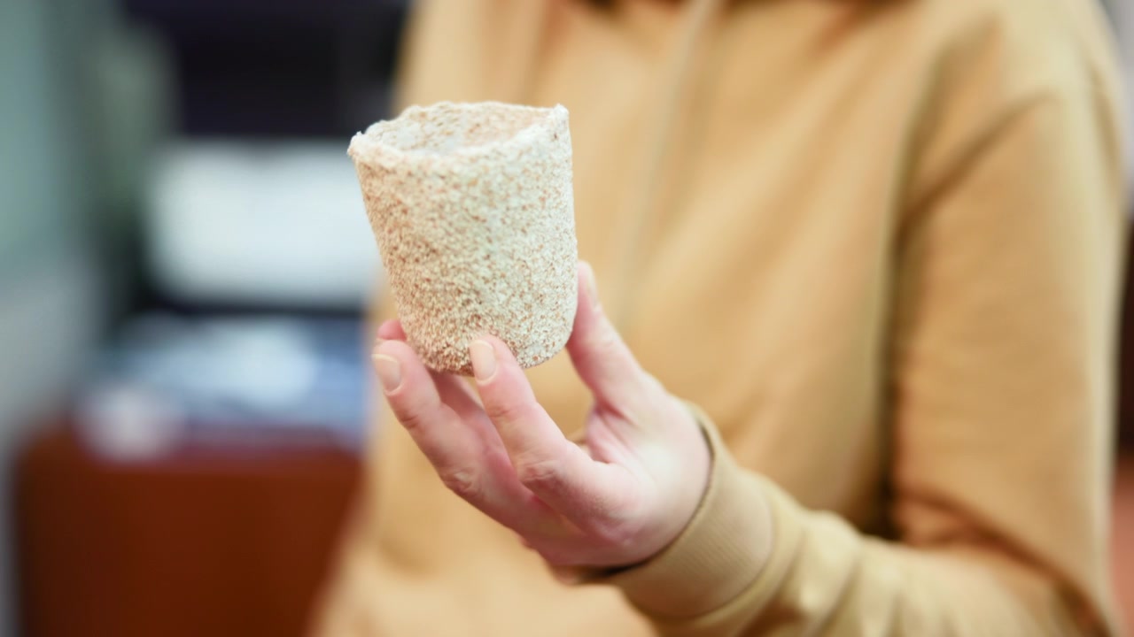 Kaukasisk kvinde inspicerer bionedbrydelig frøpotte i hånden, tekstureret fiberoverflade synlig, tjekker pasform. Medie