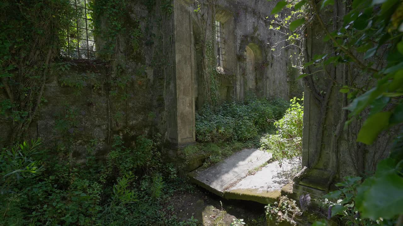 Sunlit, overgrown interior of Convento de São Francisco do Monte, with fallen stones and ivy covered walls. Viana do Castelo Portugal