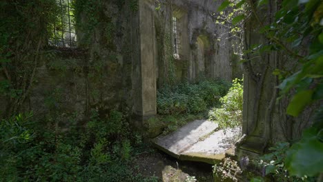 sunlit, overgrown interior of convento de são francisco do monte, with fallen stones and ivy covered walls. viana do castelo portugal