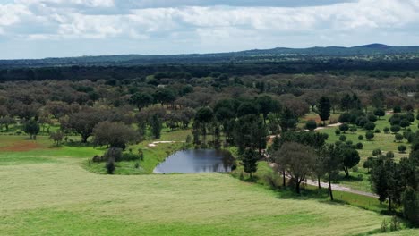 drone shot of small lake in big forest