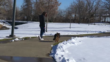 Hombre-Con-El-Pelo-Largo-Paseando-A-Un-Perro-Marrón-En-El-Parque-Durante-El-Invierno