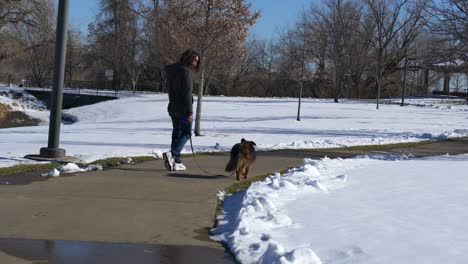 man with long hair walking a brown dog in the park during winter