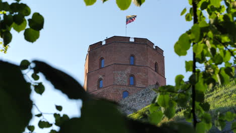 looking up at gediminas castle tower through foliage in vilnius, lithuania