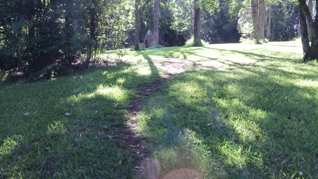 빛이 비치는 숲길을 가로질러 조용한 산책