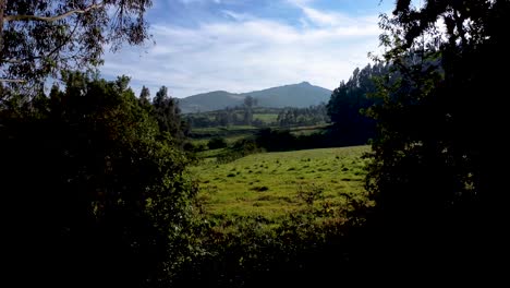 Aerial-view-of-the-Pasochoa-Volcano-through-the-forest,-Pichincha-province,-Ecuador