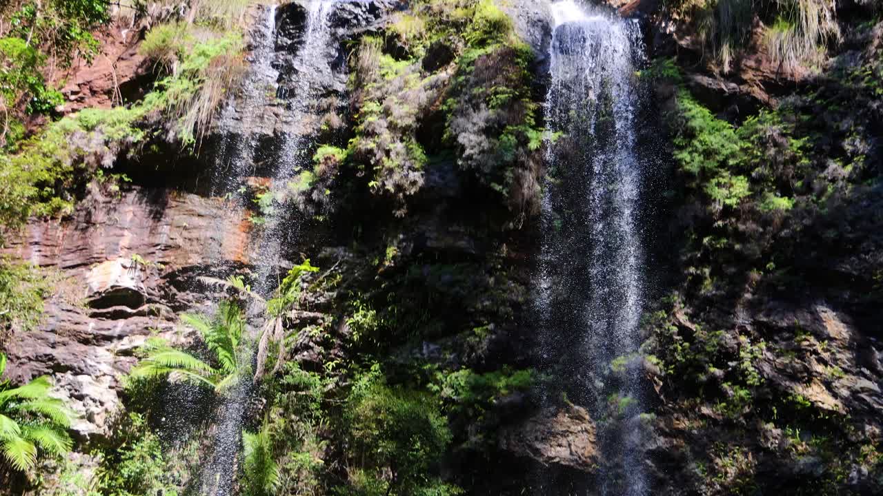 personas explorando y nadando cerca de una cascada