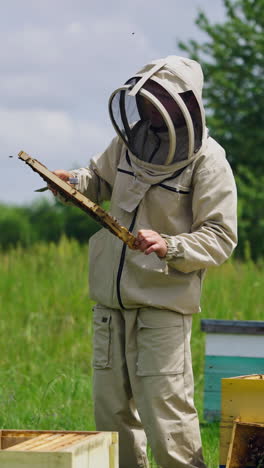 beekeeper in modern protective suit on apiary. professional apiarist man holding frame with many bees crawling on it on green nature background. vertical video