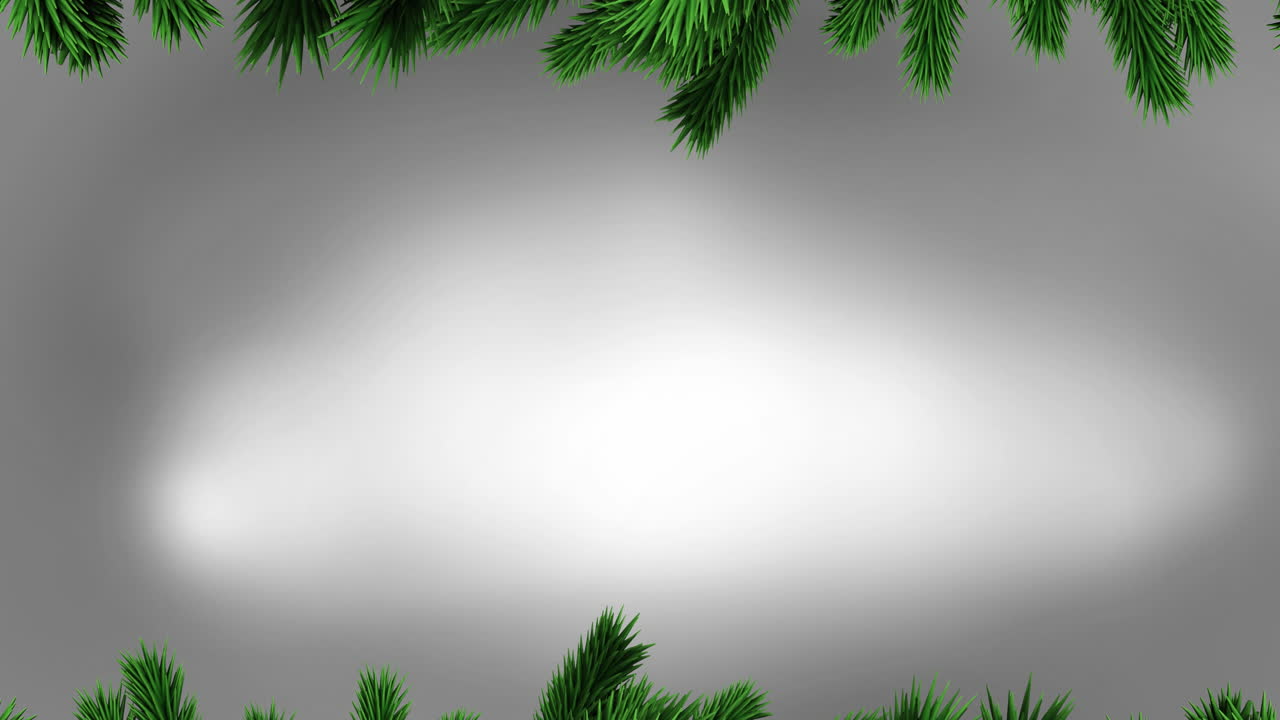 Animation of fir trees branches over white background