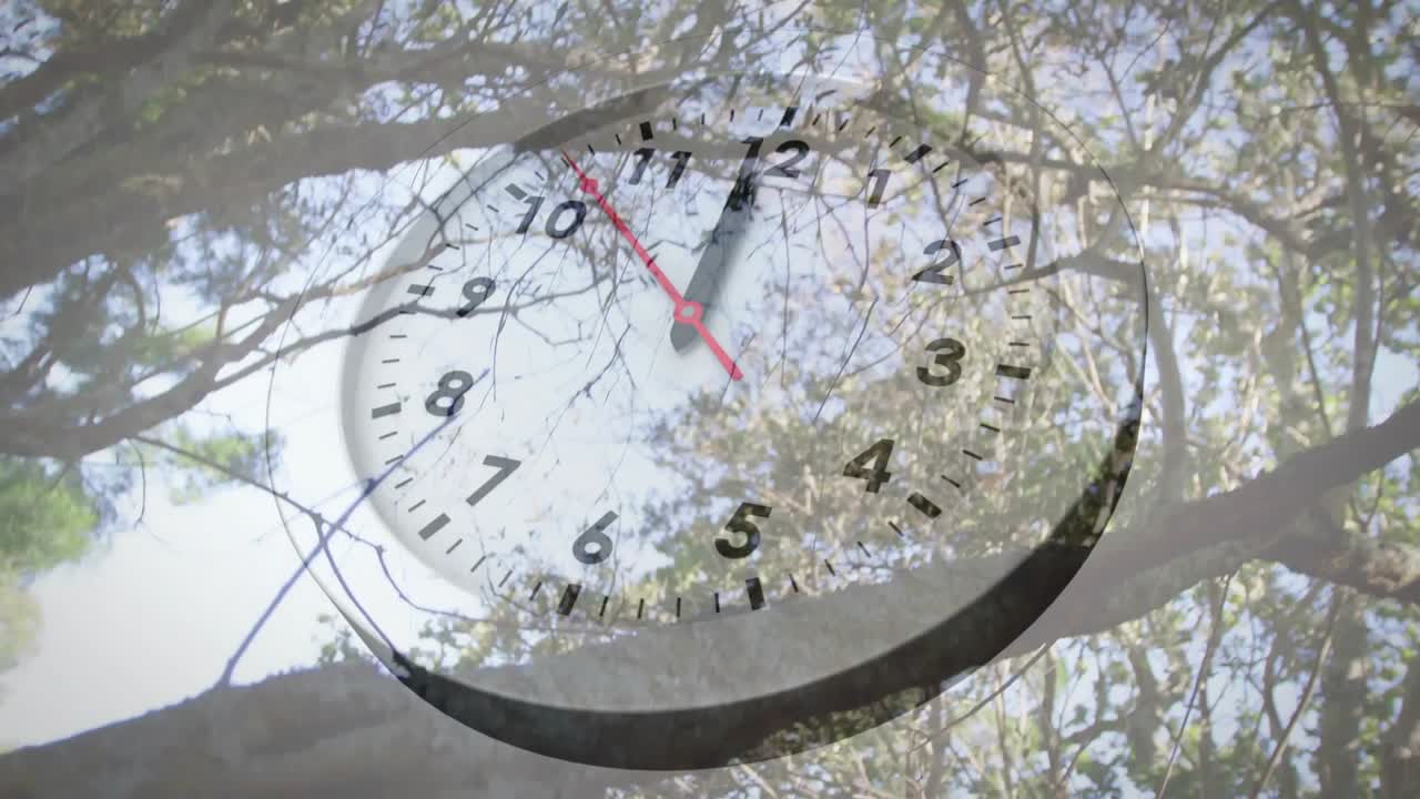 Clock face fading in over canopy, red hand ticking, minute hand advancing showing time passing