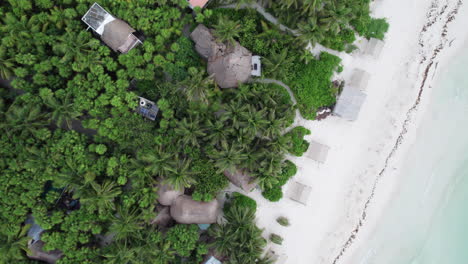 Türkisblaues-Wasser,-Weißer-Sandstrand,-Tropische-Landschaft,-Tulum---Draufsicht