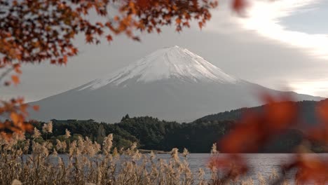 esta escena icónica destaca la belleza de los paisajes estacionales de japón, mostrando la armonía entre la naturaleza y el impresionante telón de fondo de las montañas. ideal para viajes, naturaleza y contenido cultural