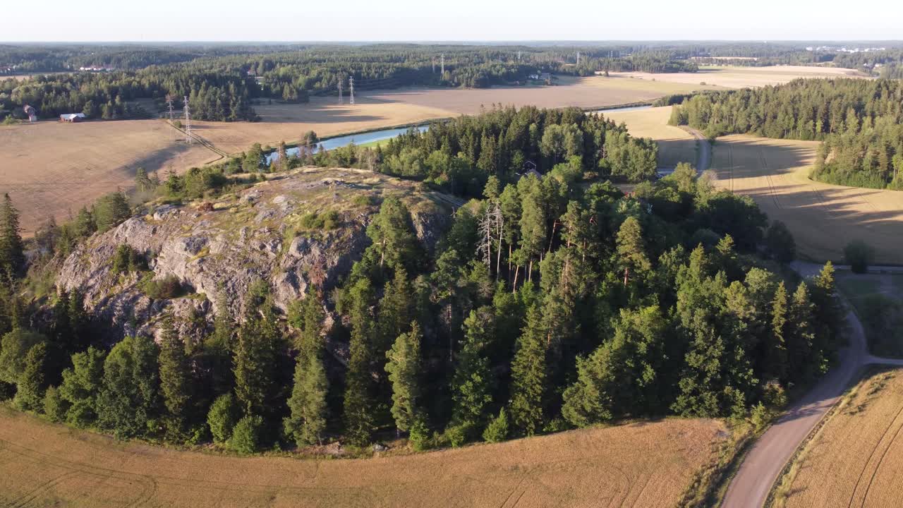 большой холм в окружении деревьев. сельская местность. съемка с беспилотника