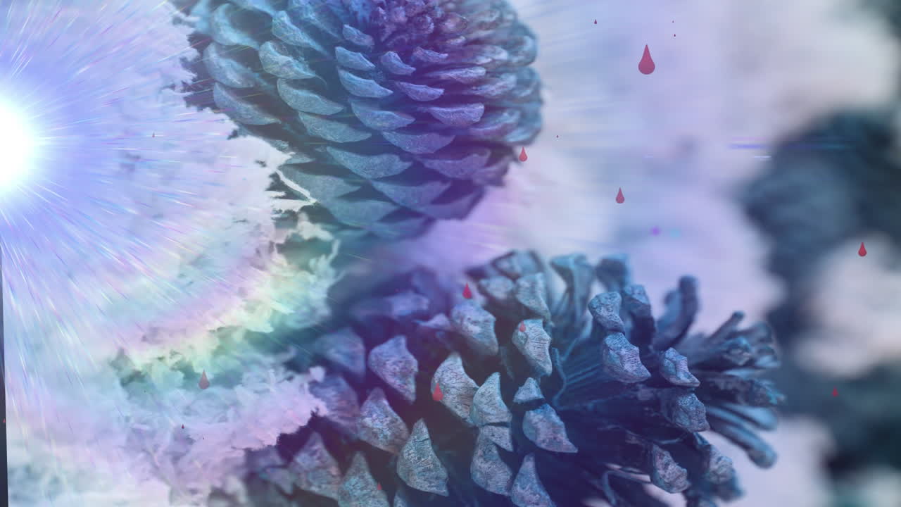 анимация света, движущегося по сосновым шишкам на деревянной поверхности