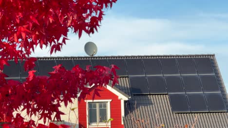 modern black solar panel units on roof of house during golden sunset. vibrant red colored maple trees leaves in fall season. wide shot. american neighborhood in autumn.