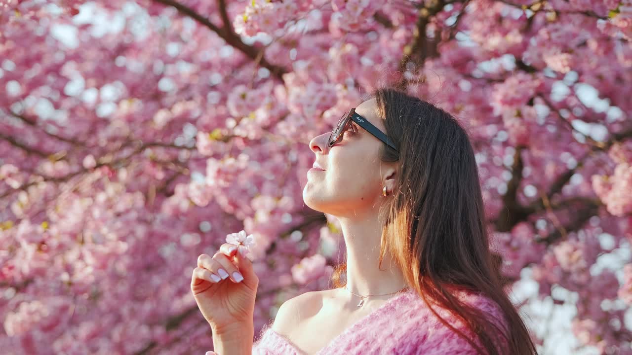 Cherry blossoms breathe renewal, symbolizing balance after global chaos