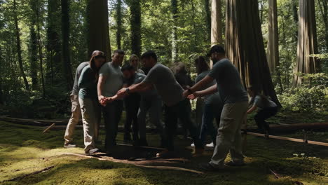 group teamwork and collaboration in a lush redwood forest