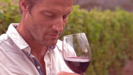 handsome man tasting wine