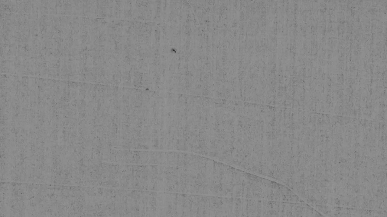 Vintage Film Grain Texture Overlay